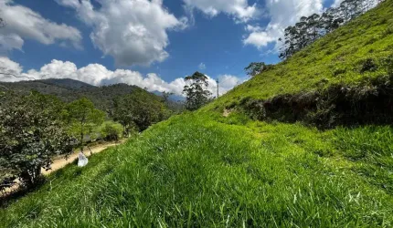 Terreno à venda, 990 m² por R$ 70.000,00 - Campo do Coelho - Nova Friburgo/RJ