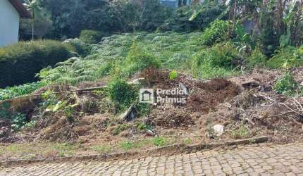 Terreno à venda, 465 m² por R$ 325.000,00 - Braunes - Nova Friburgo/RJ