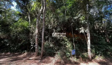 Terreno à venda, 973 m² por R$ 200.000,00 - Ponte da Saudade - Nova Friburgo/RJ