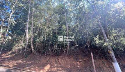 Terreno à venda, 537 m² por R$ 130.000,00 - Ponte da Saudade - Nova Friburgo/RJ