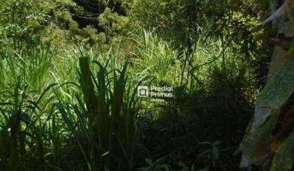 Terreno à venda, 600 m² por R$ 218.000,00 - Varginha - Nova Friburgo/RJ