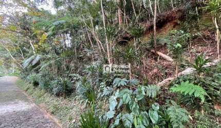 Terreno com RGI , 2345 m² à venda por R$ 350.000 - Mury - Nova Friburgo/RJ
