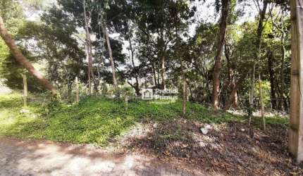 Terreno à venda, 370 m² por R$ 200.000,00 - Vargem Grande - Nova Friburgo/RJ