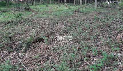 Terreno à venda, 452 m² por R$ 200.000,00 - Vargem Grande - Nova Friburgo/RJ