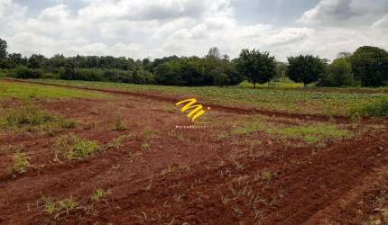 Terreno à venda em Paulínia, Betel, com 44000 m²