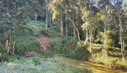 Terreno à venda, 1107 m² por R$ 500.000,00 - Alto Do Capivari - Campos do Jordão/SP