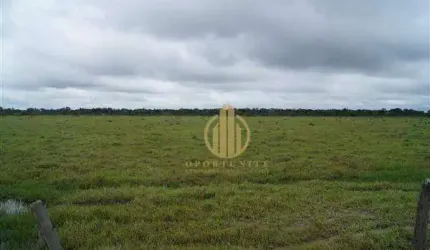 Fazenda em São Miguel do Araguaia à venda,  - Centro - São Miguel do Araguaia/GO