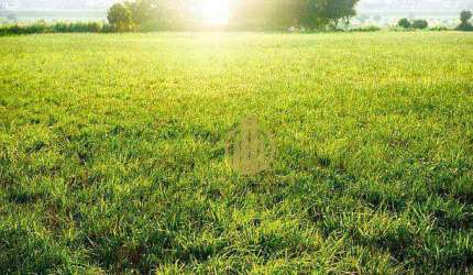 Terreno à venda, 382 m² por R$ 250.000 - Parque das Oliveiras - Ribeirão Preto/SP