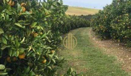 Fazenda à venda, 7986000 m² por R$ 120.000.000,00 - Centro - Botucatu/SP