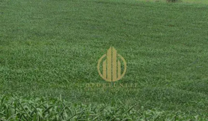 Terreno de ilha no Vivendas da Mata - Portal Jatobá - 300 m² por R$ 300.000 - Distrito de Bonfim Paulista - Ribeirão Preto/SP