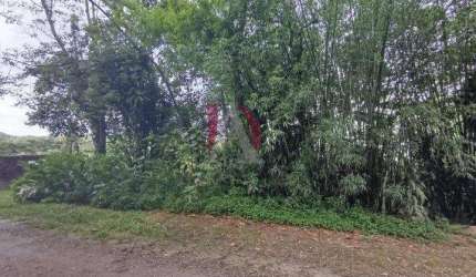 Terreno para Venda em São Bernardo do Campo, Jardim Borda do Campo