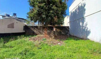 Terreno, 252 m², Centro, Balneário Camboriú, SC