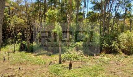 Terreno à venda, 7500 m² por R$ 480.000,00 - Biritiba Ussu - Mogi das Cruzes/SP