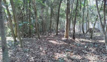 Terreno 1000m², no condomínio Sete Praias