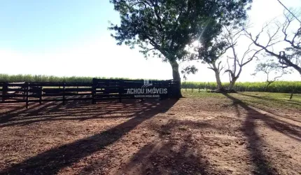 Sítio para Locação no bairro Área Rural de Jaboticabal