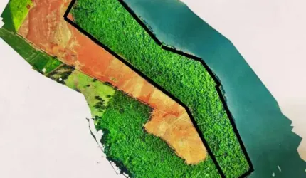 Área para Venda em Três Barras do Paraná, -