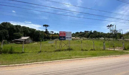 Terreno à venda, 6500 m² por R$ 3.350.000,00 - Cic - Curitiba/PR