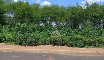 Terreno à venda, 450 m² por R$ 185.000,00 - Vila Elisa - Ribeirão Preto/SP