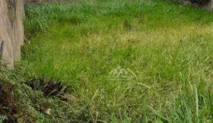 Terreno à venda, 375 m² por R$ 260.000,00 - Ribeirânia - Ribeirão Preto/SP