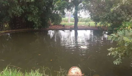 Sítio com 3 dormitórios à venda, 21000 m² por R$ 600.000,00 - Estancia Bella Vista - Serra Azul/SP