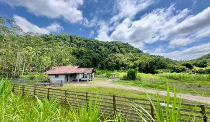 Chácara / sítio com 2 quartos à venda na Área Rural, Rio da Luz, Jaraguá do Sul por R$ 750.000