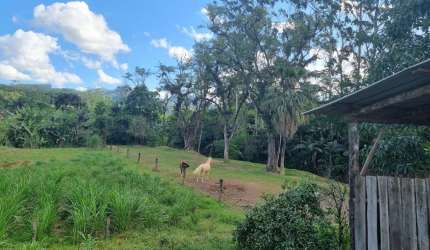 Chácara / sítio à venda na Rua Osvaldo Ehlert, Rio da Luz, Jaraguá do Sul por R$ 850.000