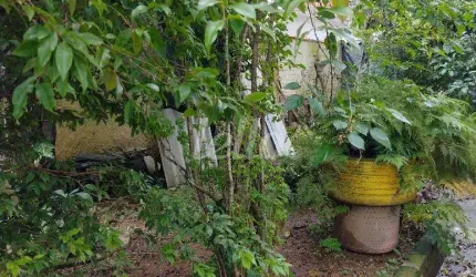 Terreno à venda na Rua Cuiabá, 826, Mooca, São Paulo, 200 m2 por R$ 1.200.000