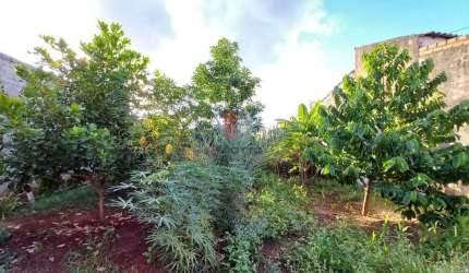 Casa à venda, 2 quartos, 2 vagas, Parque Residencial Cândido Portinari - Ribeirão Preto/SP