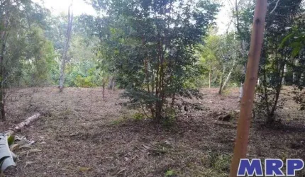 Chácara à venda em Ubatuba, com 4.000m², Sertão da Quina.