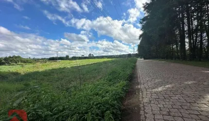 Terreno à venda, 236 m² por R$ 395.000,00 - Rodeiozinho - Balsa Nova/PR