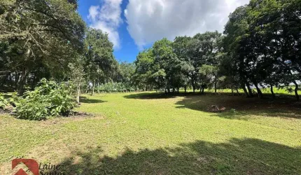 Chácara com 1 dormitório à venda, 11000 m² por R$ 850.000,00 - Campo Do Meio - Campo Largo/PR