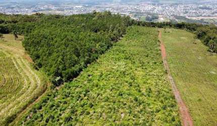 Área, à venda em Sapiranga, Picada São Jacó