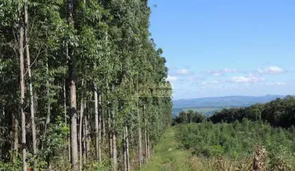 Chácara à venda em Sapiranga, Picada São Jacó
