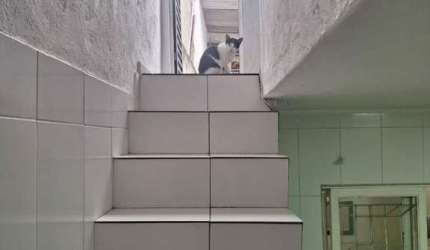 Sobrado 210m² Vila Aricanduva com Casas de fundo