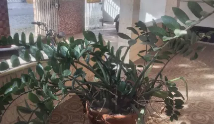 Vendo Casa independente,  Centro Miguel Couto, Nova Iguaçu/RJ.