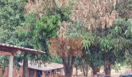 chácara em alvorada do sul