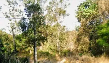 Terreno à venda, 115000 m² por R$ 5.300.000,00 - Vila Partenio - Mogi das Cruzes/SP