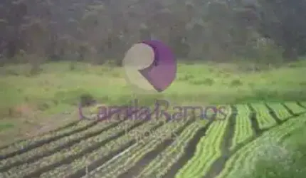 Área Comercial à venda, Vila Aparecida, Suzano - AR0023.