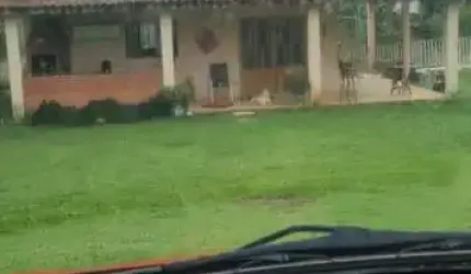 Chácara para Venda em Ibiúna, Bairro Recreio, 2 dormitórios, 1 banheiro, 6 vagas