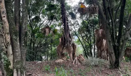 Terreno em Condomínio para Venda em Barueri, Residencial Tamboré