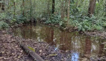 Fazenda à venda na CATU, Centro, Catu por R$ 1.080.000
