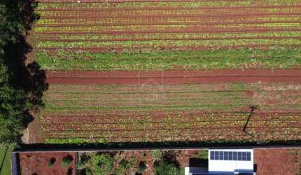 Chácaras a venda no Loteamento Mata Verde em Foz do Iguaçu