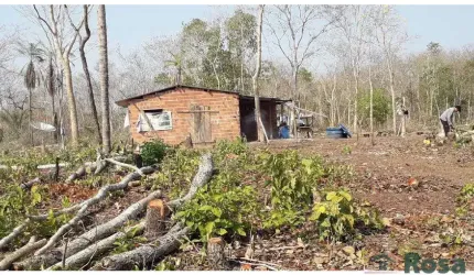 CHÁCARA / SITIO para venda ZONA RURAL POCONÉ - 26532