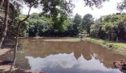 Chácara à venda, 21178 m² por R$ 1.450.000,00 - Colônia Cristina - Campo Largo/PR