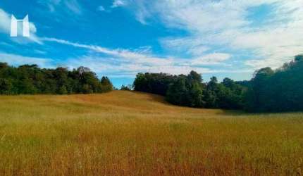 Área à venda, 96800 m² por R$ 2.400.000,00 - Rondinha - Campo Largo/PR