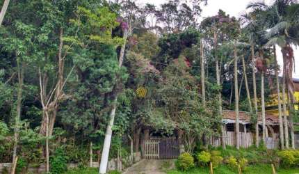Lote/Terreno em Batistini