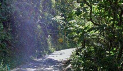 Lote/Terreno em Riacho Grande