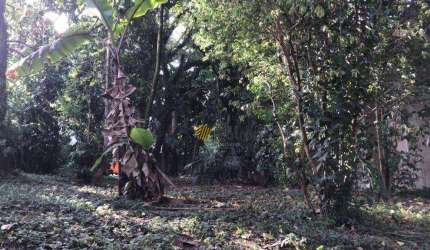 Lote/Terreno em Parque Anchieta