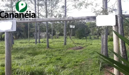 Sítio com 78.448 m2 sendo 100m de frente para rodovia asfaltada, disponível para venda - Cananéia/SP