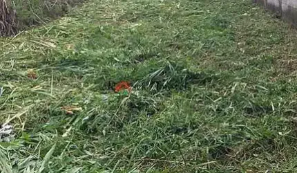 Terreno, Cibratel II, Itanhaém - R$ 120 mil, Cod: 1327